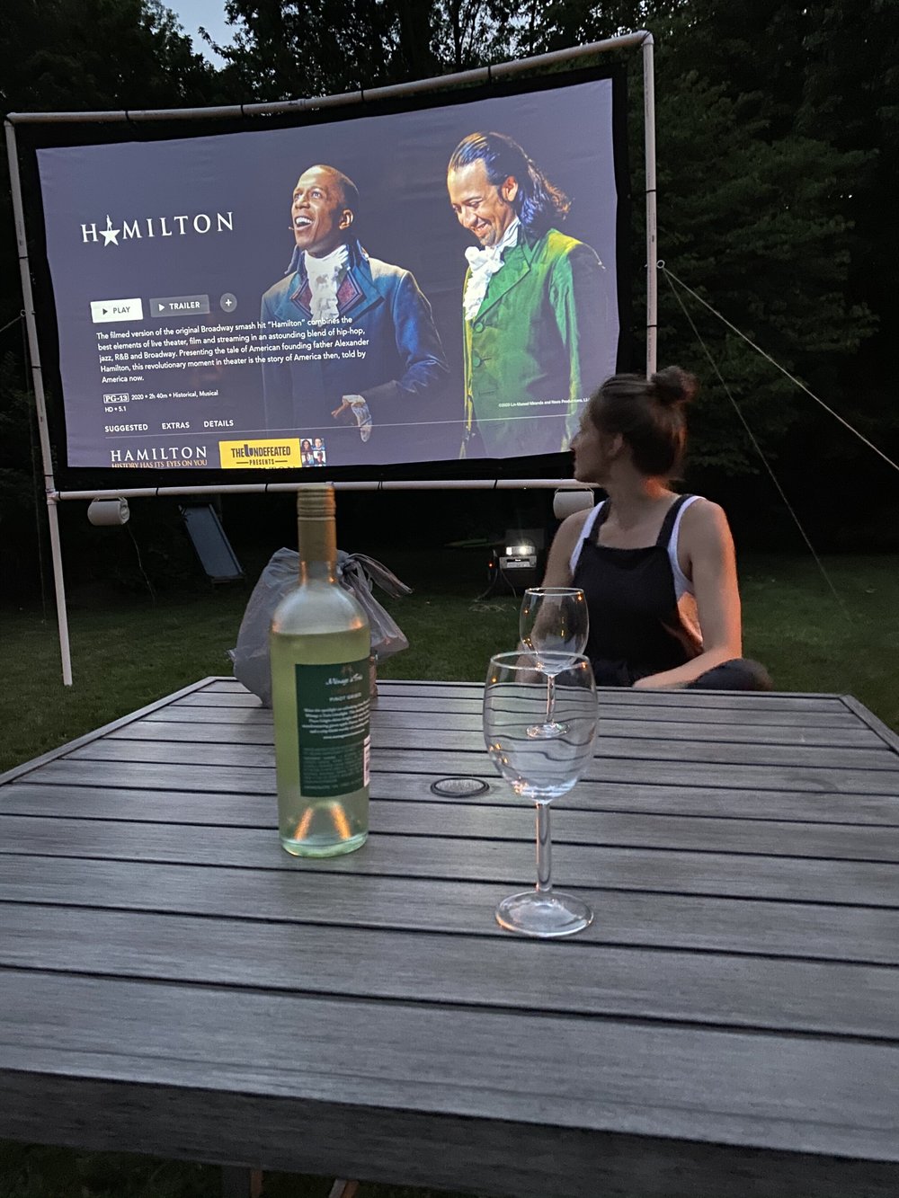 Outdoor Movie Screen